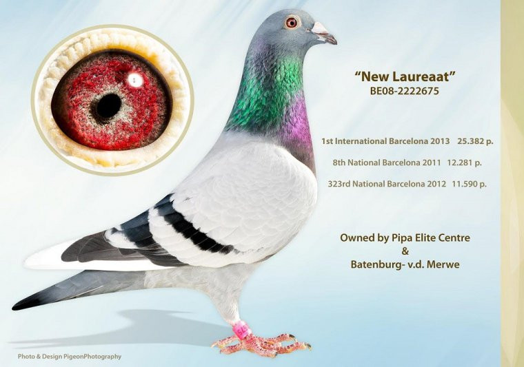 Foto New Laureaata