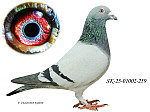 SK-25-01002-259