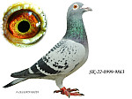 SK-22-0999-9863