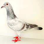 CZ-2025-0400-1129 100 % LEIDEMAN