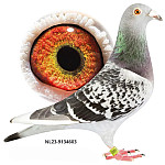 NL-2023-9134603 TOP SDT ! ! !