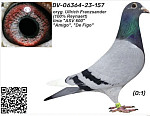 SK-2026-02804-842
