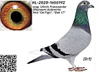 NL-2020-1655192