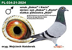 PL-21-034-2024