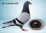 SK-26-01603-699 HE?