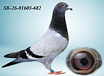 SK-26-01603-682 H?
