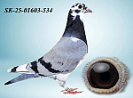 SK-25(26)-01603-534 HE?