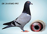 SK-26-01603-992 HE?