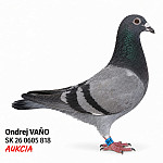 SK 0605 26 818