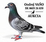 SK 0605 26 839