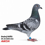 SK 0605 36 832