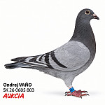 SK 0605 26 803