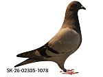 SK-26-02305-1078 MP