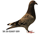 SK-26-02607-509 MK