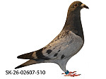 SK-26-02607-510 MK