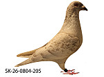 SK-26-0804-205 Rudy Biely