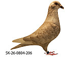 SK-26-0804-206 Rudy Biely