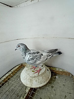 SK - 2026 - 03304 - 772