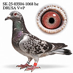 SK-25-03504-1068