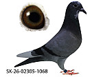 SK-26-02305-1068 MP STR