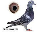 SK-26-0804-209 TK
