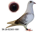 SK-26-02305-1081 PL STR