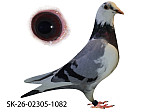 SK-26-02305-1082 MP STR