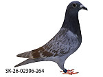 SK-26-02306-264 Rudy