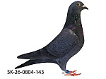 SK-26-0804-143 Rudy