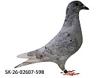 SK-26-02607-598 Rudy Biely