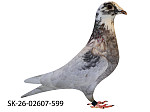 SK-26-02607-599 Rudy Biely