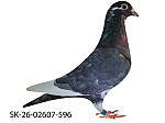SK-26-02607-596