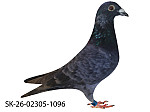 SK-26-02305-1096 Rudy