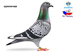 24.CZ.0134.1626