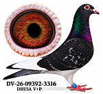DV-26-09392-3316