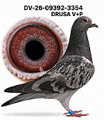 DV-26-09392-3354