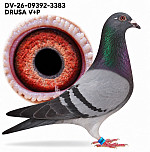 DV-26-09392-3383