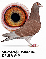 SK-25 -(26)-03504-1078 - starý krúžok