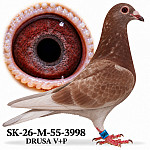SK-26-M-55-3998
