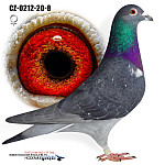 CZ-20-0212-8